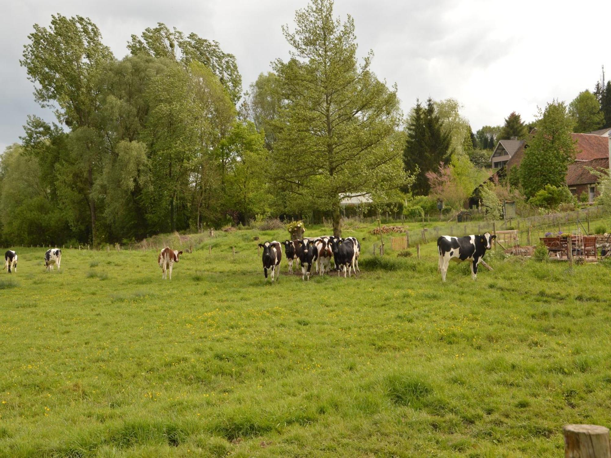 Stunning Holiday Home near Forest in Slenaken Eksteriør bilde