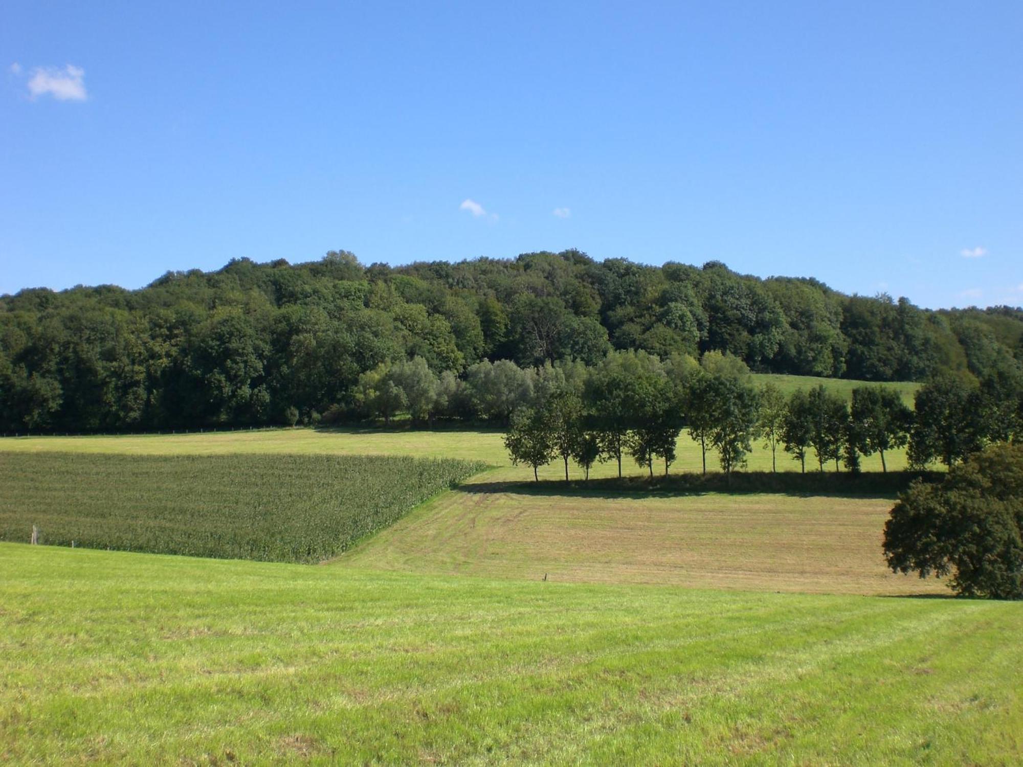 Stunning Holiday Home near Forest in Slenaken Eksteriør bilde